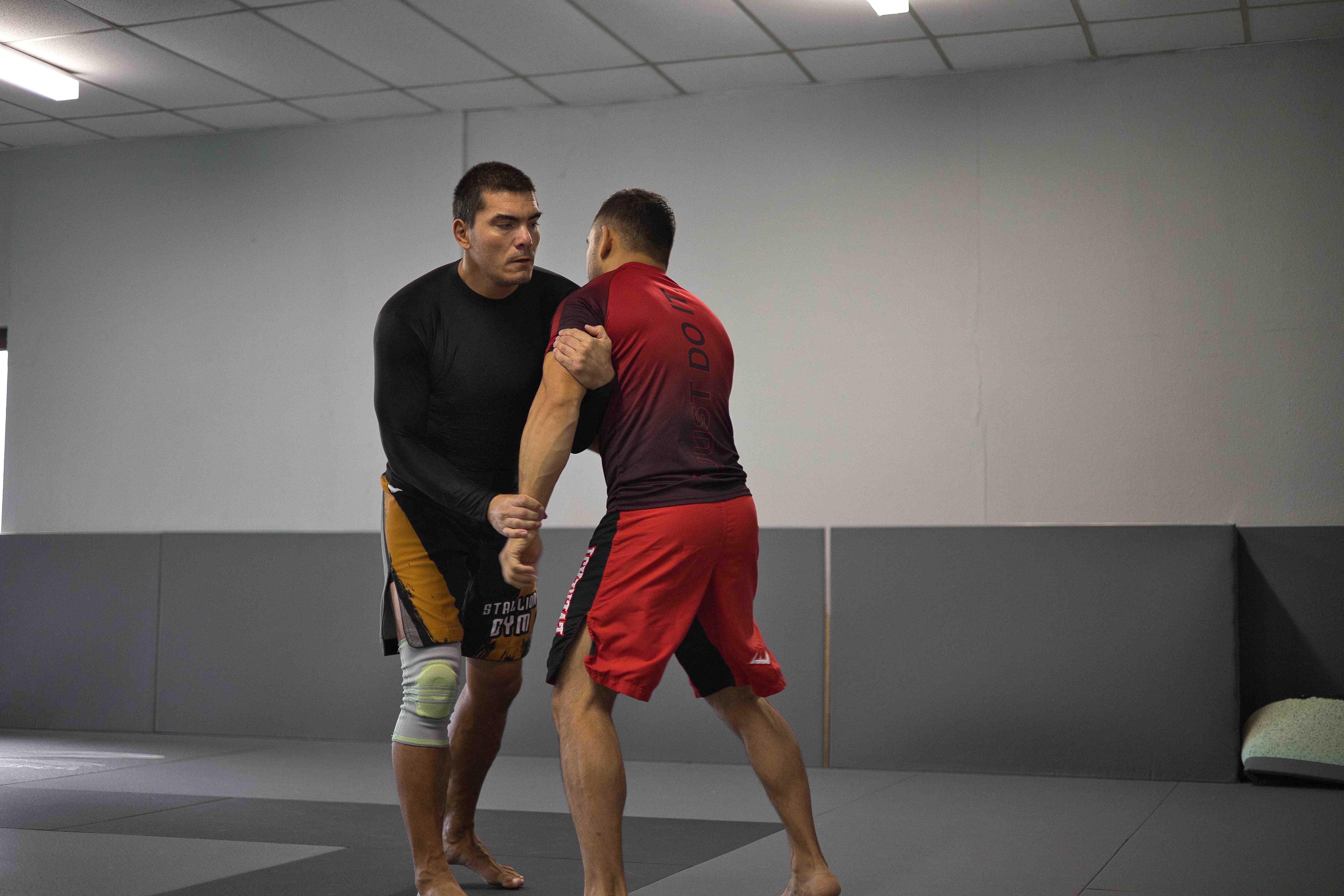 BJJ Standing Grappling Training