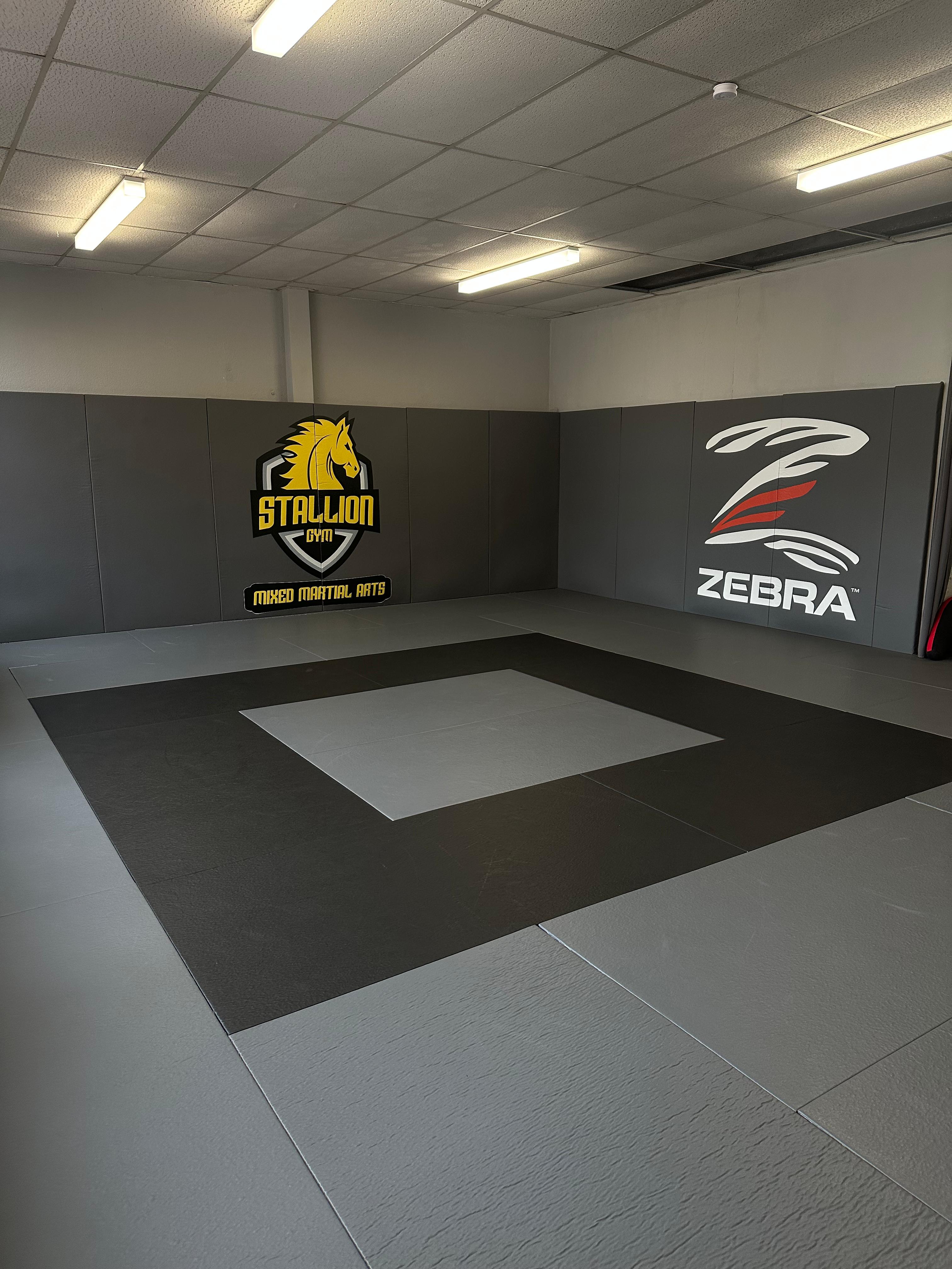 STALLION GYM BJJ Trainingsbereich