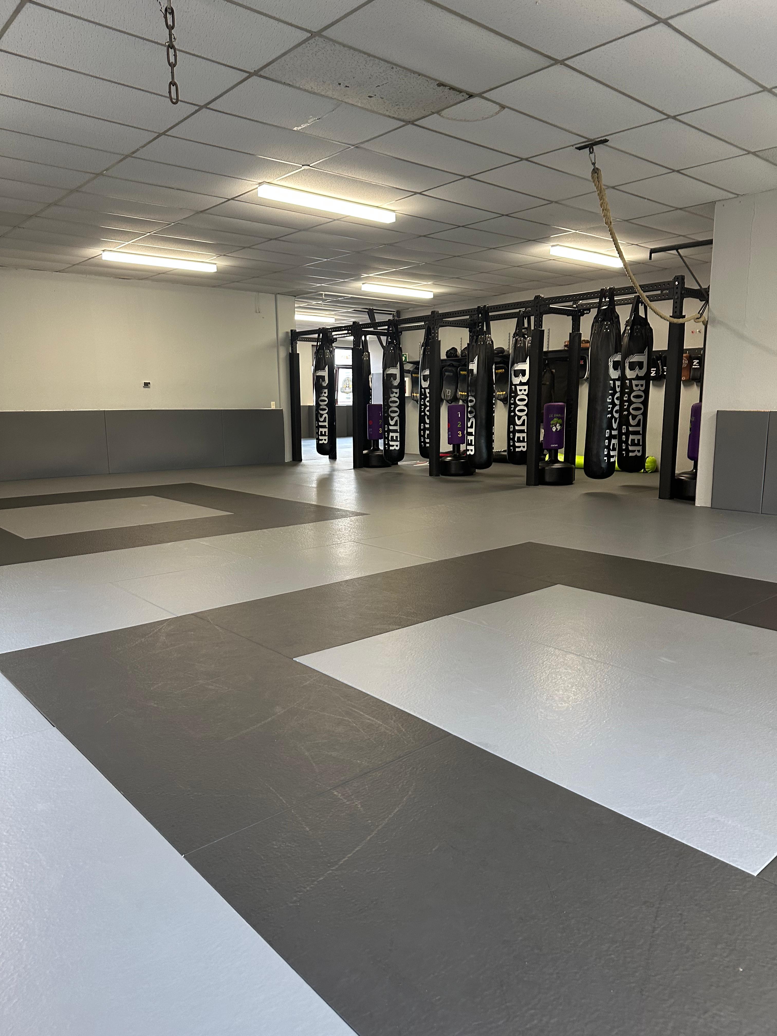 STALLION GYM Heavy Bags Trainingsbereich