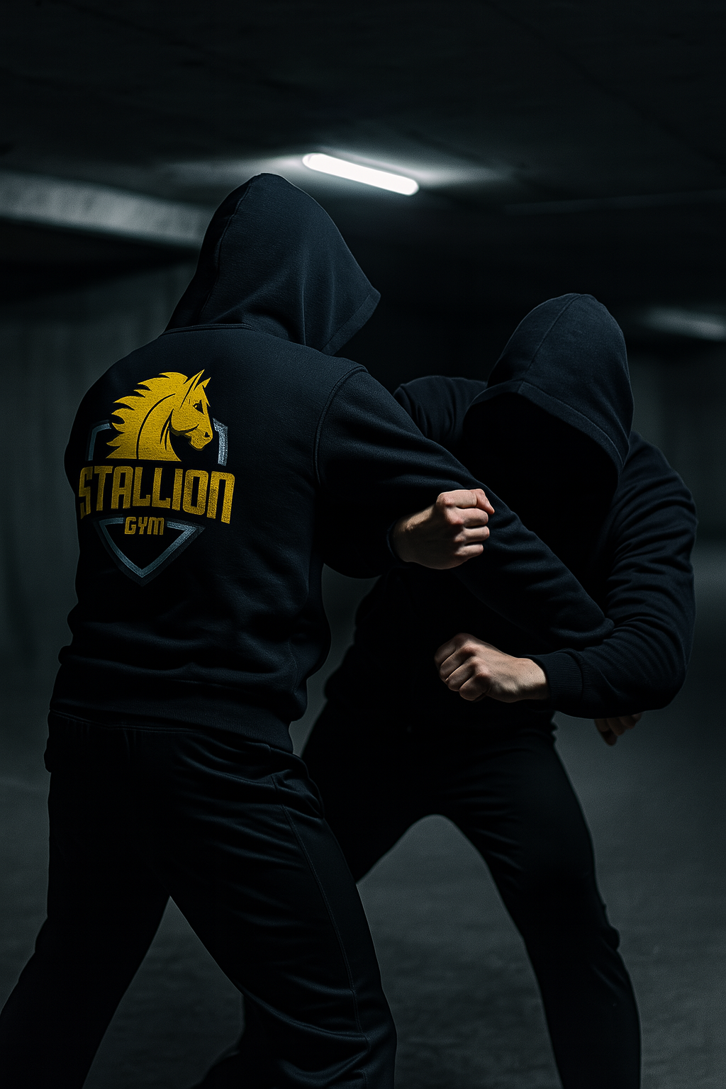 Krav Maga Training im STALLION GYM Herrenberg