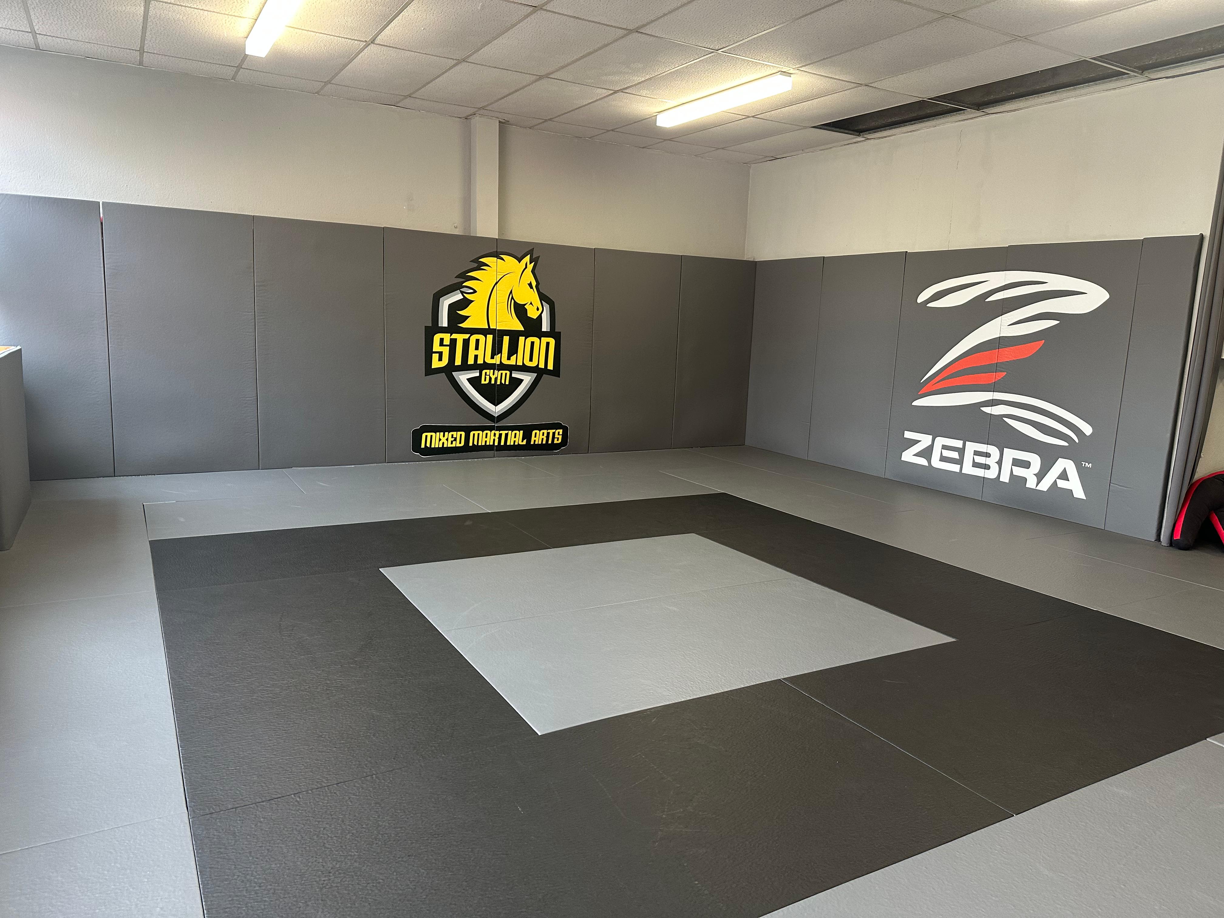 STALLION GYM Herrenberg Trainingsraum mit professionellen Matten